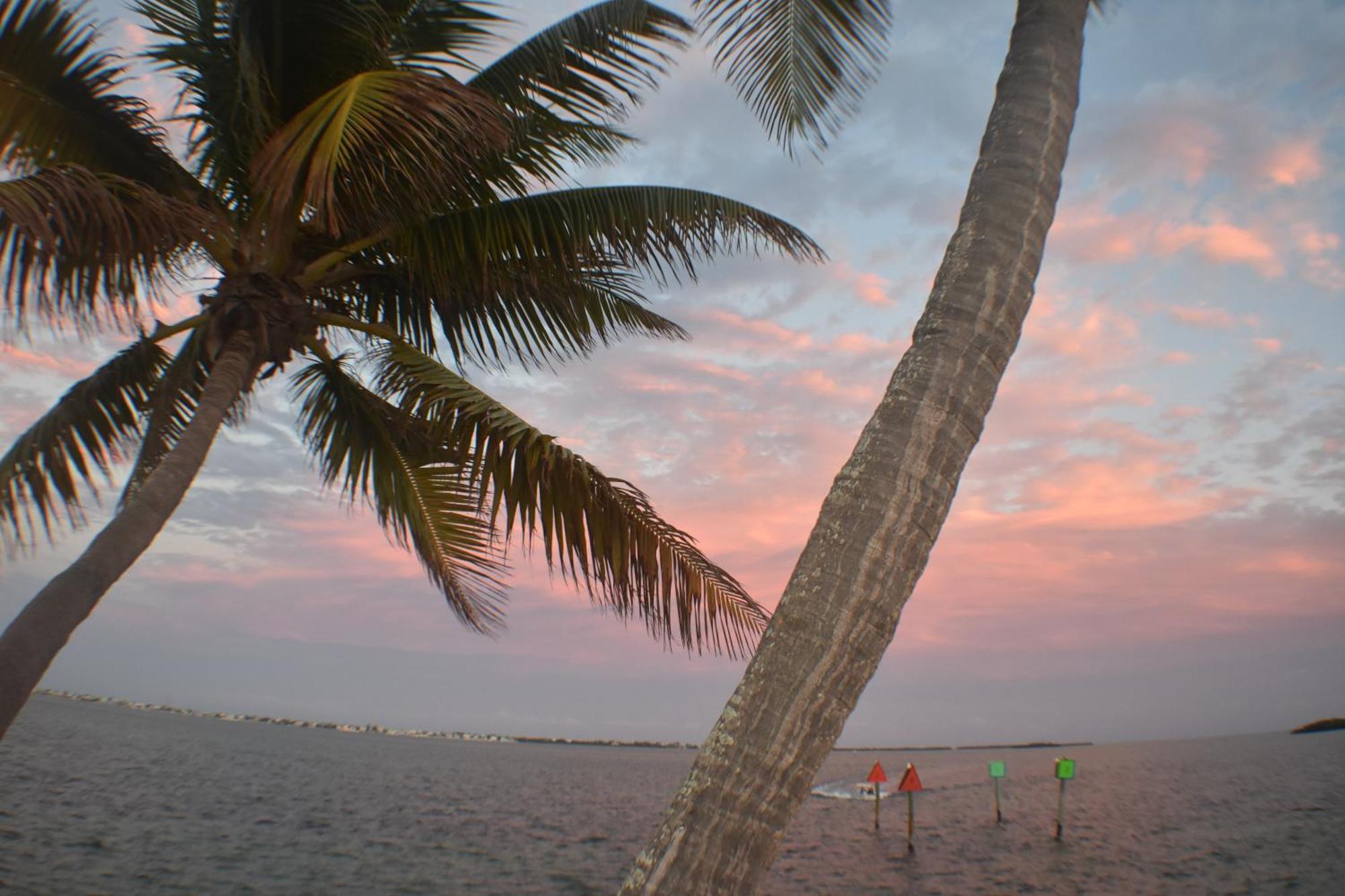 Pelican's Roost, Waterfront Comfort At Venture Out Ferienhaus Cudjoe Key